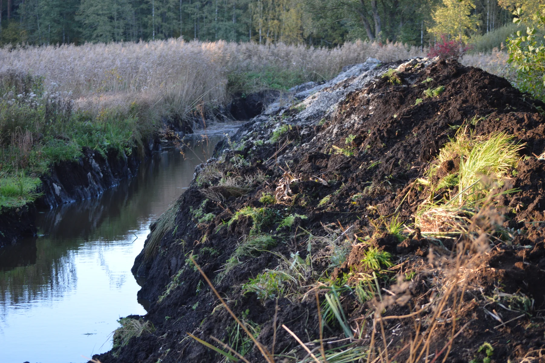 Wasser in einem frisch ausgehobenen Bereich des entstehenden Teichs